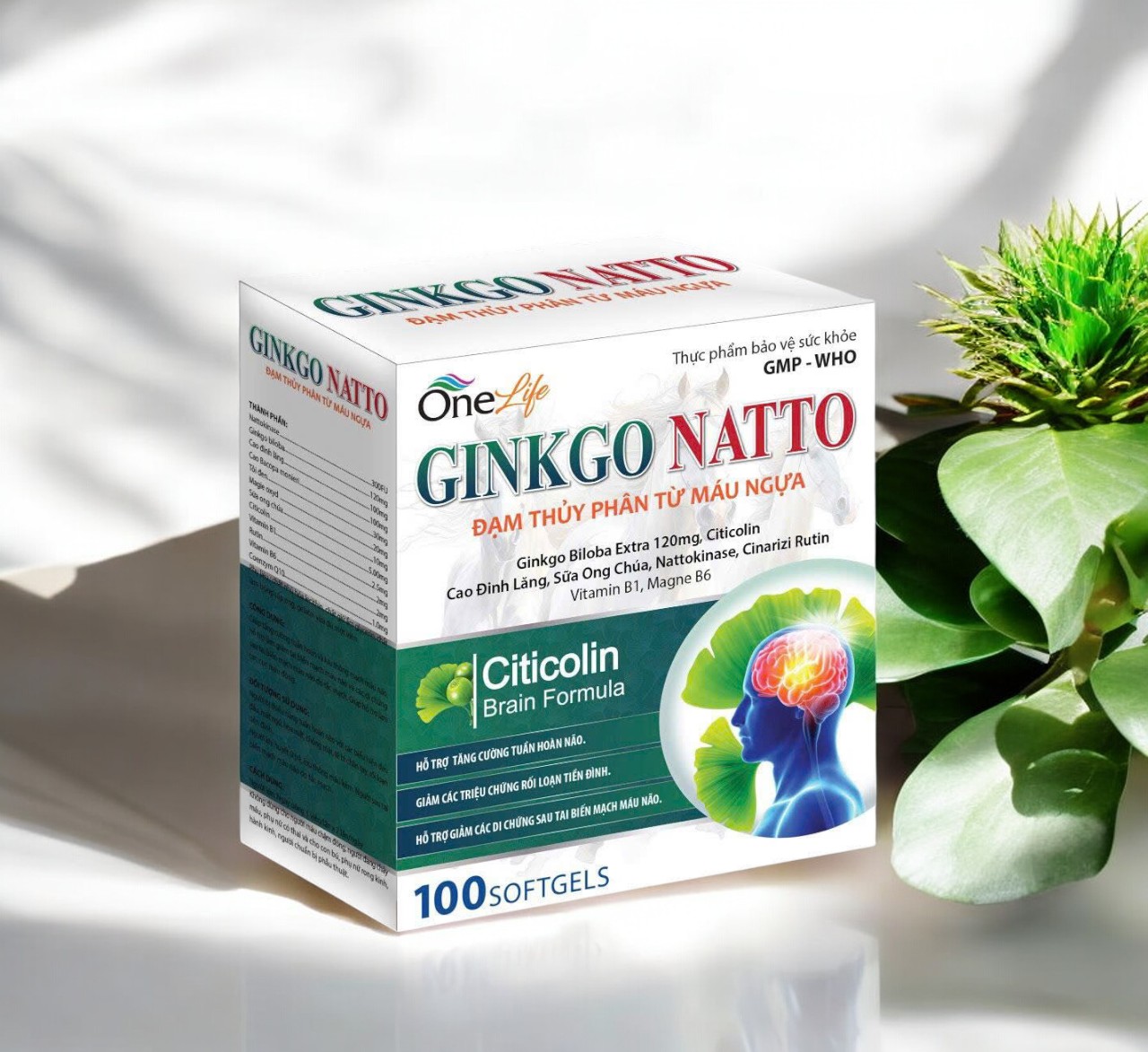 Bổ Não Ginkgo One Life hộp 100 viên  SP001764